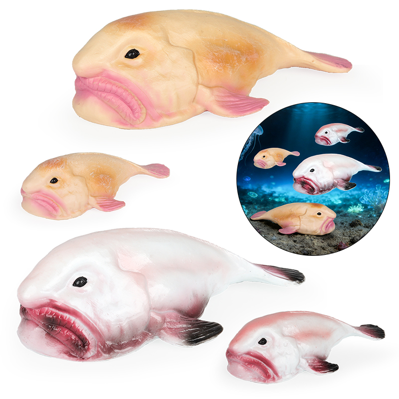 Kids Education In Australia - Oenux Australia Ryba głowobrzegowa Blobfish Psychrolutes