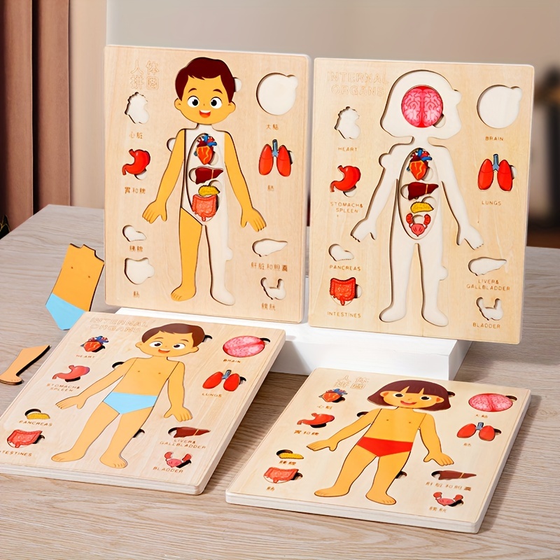 Human Body Puzzle - Drewniane Puzzle anatomii Montessori zestaw do