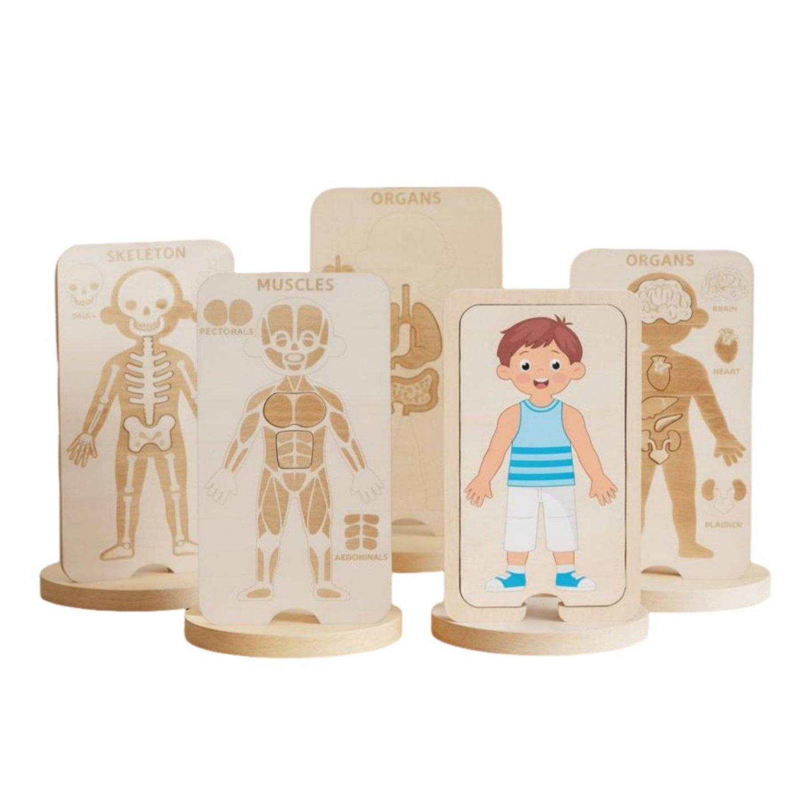Drewniana edukacyjna układanka – Human Body Puzzle recenzja i cena