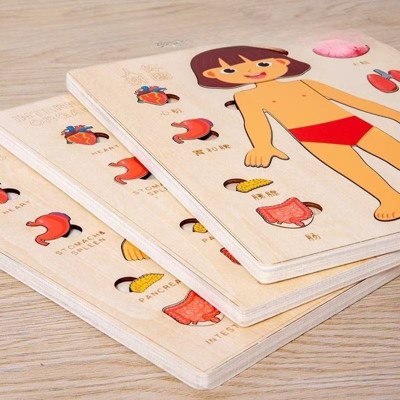 Puzzle Montessori Tablica Mani – Human Body Puzzle recenzja i cena