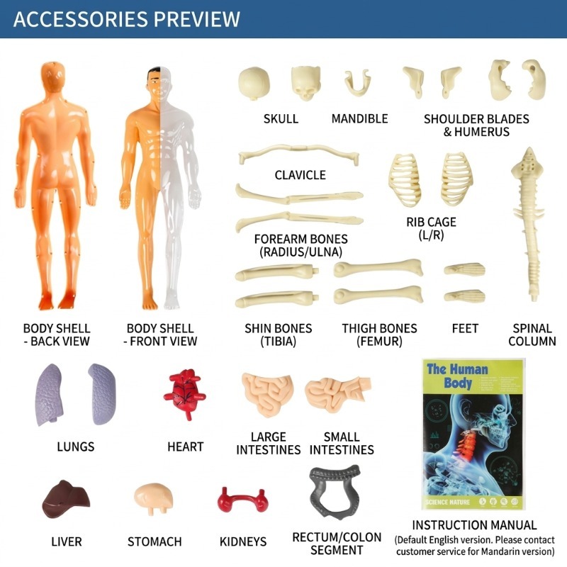 Zestaw do samodzielnego wykona – Human Body Puzzle recenzja i cena