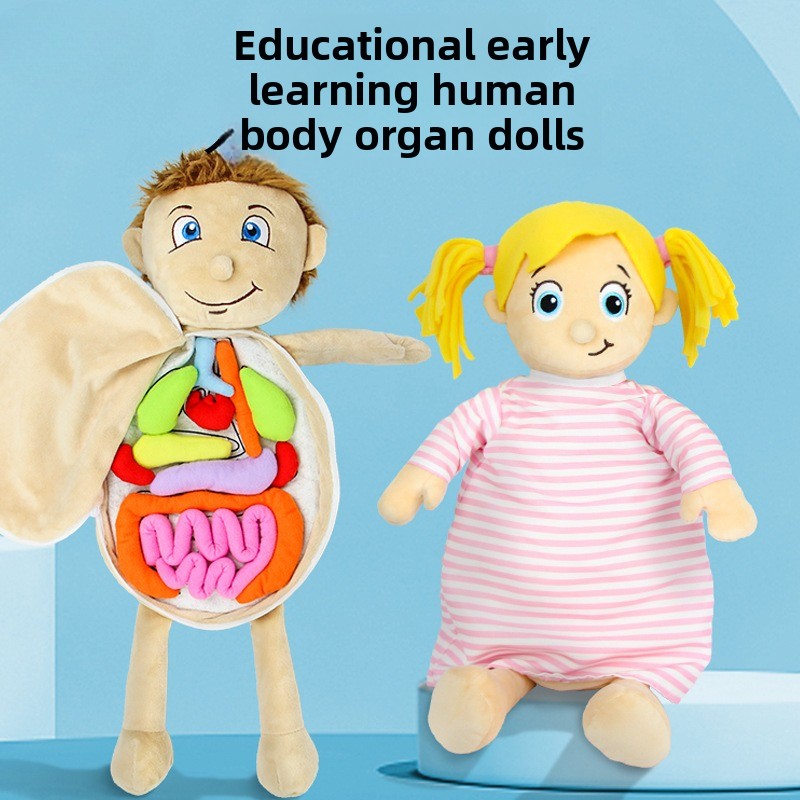 1 szt. Puzzle edukacyjne z lud – Human Body Puzzle recenzja i cena