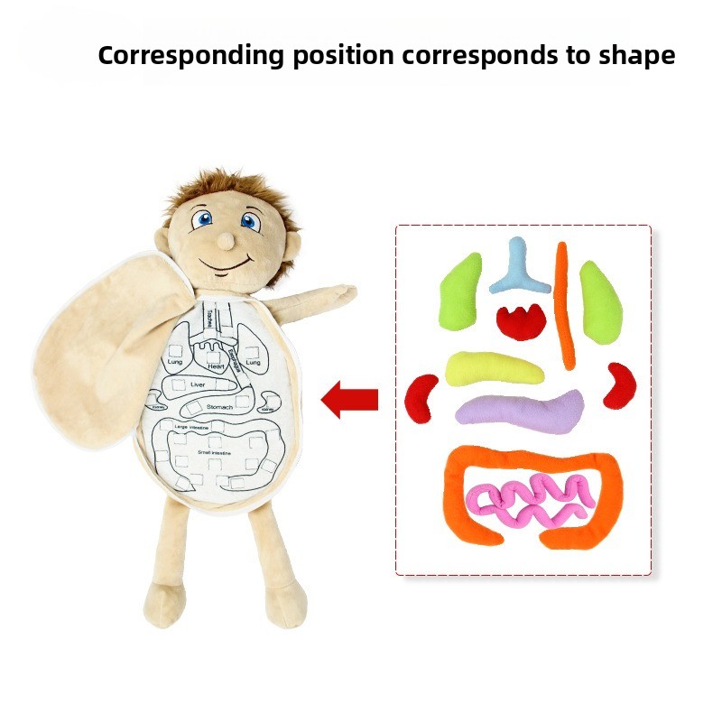 1 szt. Puzzle edukacyjne z lud – Human Body Puzzle recenzja i cena