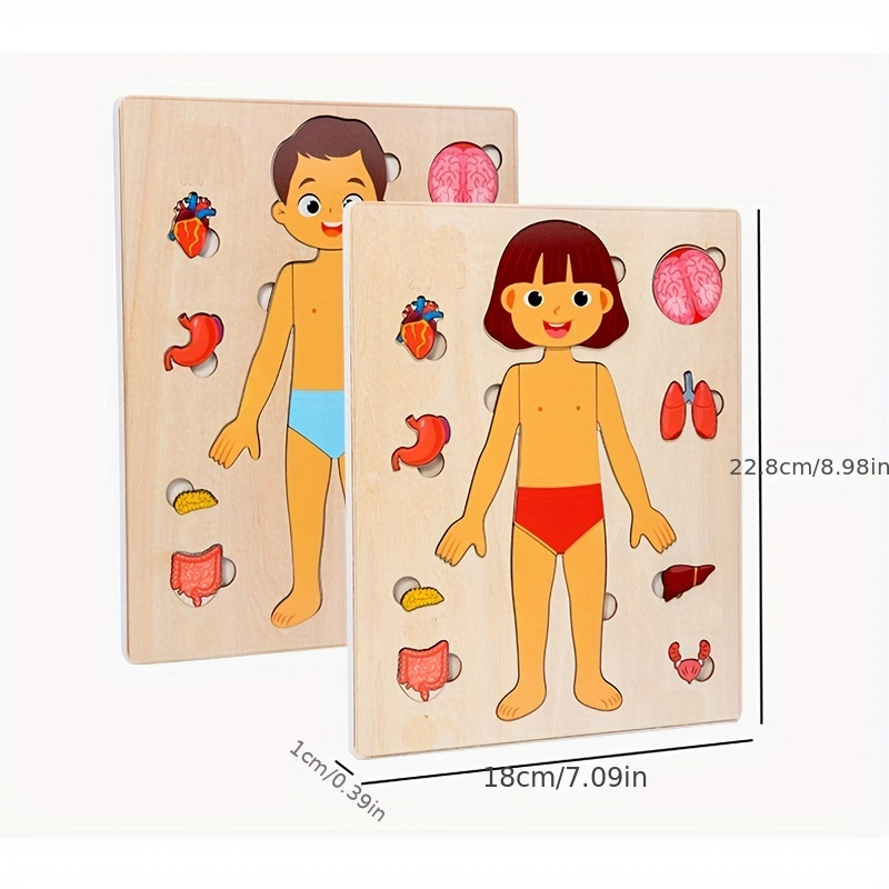 Drewniane Puzzle anatomii Mont – Human Body Puzzle recenzja i cena